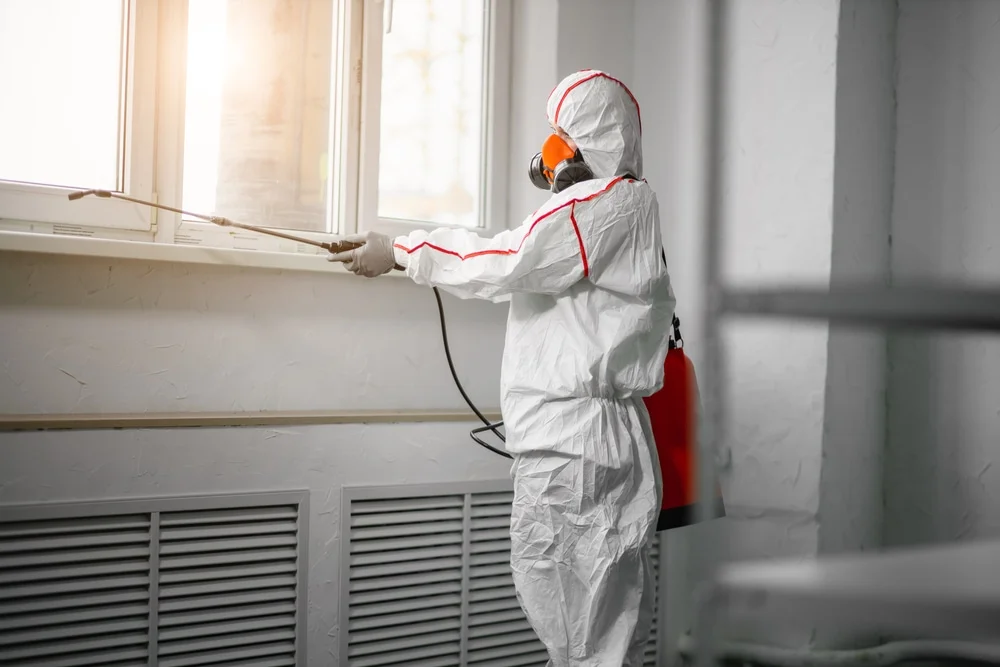 Professional mold remediation services in Yutan, NE